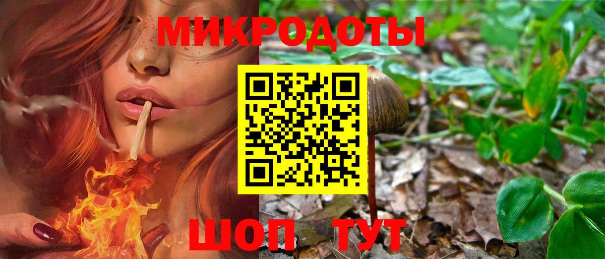 Псилоцибиновые грибы Psilocybe  Вход с VPN  Саратов 